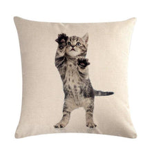 Load image into Gallery viewer, Cute Cat Sofa Decorative Cotton Linen Cushion Cover Pillow Cases Square Pillow Covers Cat Cotton Linen Decorative Cushion Covers For Home Throw Pillow Home Decor Pillowcover 45x45CM