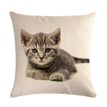 Load image into Gallery viewer, Cute Cat Sofa Decorative Cotton Linen Cushion Cover Pillow Cases Square Pillow Covers Cat Cotton Linen Decorative Cushion Covers For Home Throw Pillow Home Decor Pillowcover 45x45CM