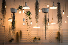 Load image into Gallery viewer, Dimmable Light Bulb Retro Vintage Edison Bulb Incandescent Ampoule Bulbs Vintage Edison Lamp Retro Light Vintage Bulbs Modern Style Square Spiral Filament Incandescent Light