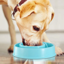 Load image into Gallery viewer, Dog Cat Slow Feeder Bowl