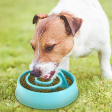 Load image into Gallery viewer, Dog Cat Slow Feeder Bowl