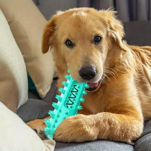 Load image into Gallery viewer, Dog Chew Toys Dog Toothbrush Stick
