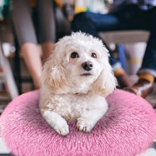 Load image into Gallery viewer, Dog Cozy Nest Sofa Bed Cushion
