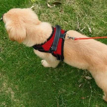 Load image into Gallery viewer, Dog Soft Adjustable Harness