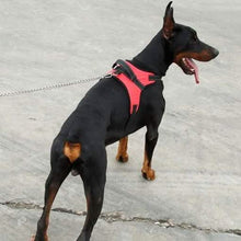 Load image into Gallery viewer, Dog Soft Adjustable Harness