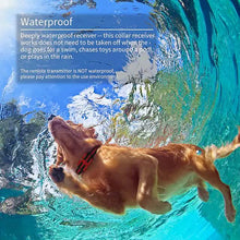 Load image into Gallery viewer, Dog Training Shock Collar