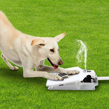 Load image into Gallery viewer, Dog Water Fountain