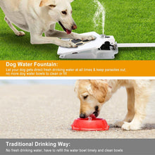 Load image into Gallery viewer, Dog Water Fountain