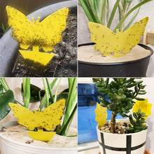 Load image into Gallery viewer, Double-Sided Flying Insect Yellow Sticky Trap