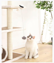 Load image into Gallery viewer, Electric Automatic Lifting Motion Cat Toy Puzzle Smart Pet Cat Teaser Ball Pet Supply Lifting Toys Toys Lifting Flutter Cat Exercise Toys