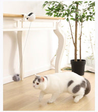 Load image into Gallery viewer, Electric Automatic Lifting Motion Cat Toy Puzzle Smart Pet Cat Teaser Ball Pet Supply Lifting Toys Toys Lifting Flutter Cat Exercise Toys