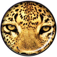 Load image into Gallery viewer, Full Color Leopard Eyes Black Barbell Tongue Ring