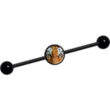 Load image into Gallery viewer, 14G Full Color Tiger Eyes Black Industrial Barbell 37mm