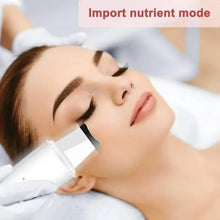 Load image into Gallery viewer, Facial Blackhead Removal Pore Cleaning Skin Scraper Tool