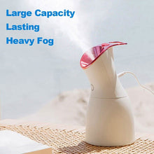 Load image into Gallery viewer, Facial Steamer Nano Ionic Face Steamers