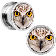 Load image into Gallery viewer, Full Color Owl Steel Screw Fit Plug Set 1/2