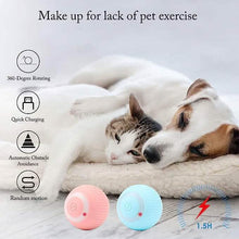 Load image into Gallery viewer, Found Notice Smart Interactive Cat Toy