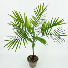 Load image into Gallery viewer, Green Artificial Palm Leaves Plastic Tropical Tree Fake Indoor Outdoor Garden Home Outdoor Decorations