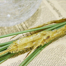 Load image into Gallery viewer, Green Artificial Palm Leaves Plastic Tropical Tree Fake Indoor Outdoor Garden Home Outdoor Decorations