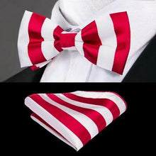Load image into Gallery viewer, Green Color Silk Butterfly Pre-Tied Bow Tie Pocket Square Cufflinks Suit Set For Men Silk Adjustable Self Bowtie Formal Bowtie Set