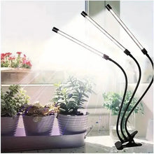 Load image into Gallery viewer, Grow Lights for Seed Starting Auto ON & Off Full Spectrum LED Plant Lights with Timer