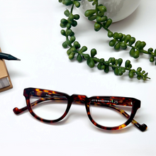 Load image into Gallery viewer, Robin