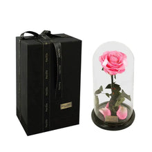 Load image into Gallery viewer, Handmade Preserved Enchanted Rose With Glass Dome on Wood Base - Rose for Christmas ,Valentine's Day