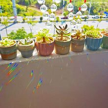 Load image into Gallery viewer, Hanging Crystal With Ball Prism Rainbow Maker Tree of Life Decor For Garden Window Rainbow Maker with Chain for Easy Hanging Outdoor Home Kids Room Window