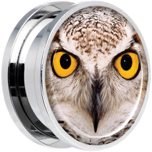 Load image into Gallery viewer, Full Color Owl Steel Screw Fit Plug Set 20mm