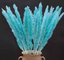 Load image into Gallery viewer, Home Store Wedding Bulrush Natural Dried Flowers Small Pampas Grass Phragmites Communis Decoration for Floor Vase Filler for Living Room Kitchen Decor