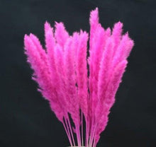 Load image into Gallery viewer, Home Store Wedding Bulrush Natural Dried Flowers Small Pampas Grass Phragmites Communis Decoration for Floor Vase Filler for Living Room Kitchen Decor