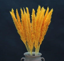 Load image into Gallery viewer, Home Store Wedding Bulrush Natural Dried Flowers Small Pampas Grass Phragmites Communis Decoration for Floor Vase Filler for Living Room Kitchen Decor
