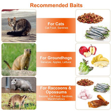 Load image into Gallery viewer, Humane Catch Release Live Animal Collapsible Galvanized Wire Trap Cage