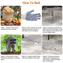 Load image into Gallery viewer, Humane Catch Release Live Animal Collapsible Galvanized Wire Trap Cage