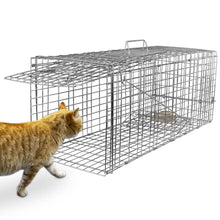 Load image into Gallery viewer, Humane Catch Release Live Animal Collapsible Galvanized Wire Trap Cage