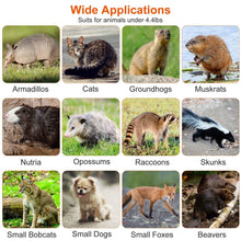 Load image into Gallery viewer, Humane Live Animal Rodent Cage Collapsible Galvanized Wire