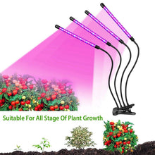 Load image into Gallery viewer, iMounTEK 80W 80 LEDs Plant Lights