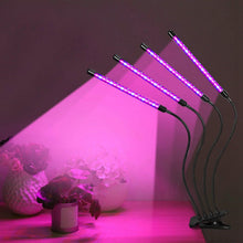 Load image into Gallery viewer, iMounTEK 80W 80 LEDs Plant Lights
