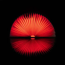 Load image into Gallery viewer, LED Bedside Standing Lamp Book Table Night Lamp