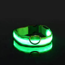 Load image into Gallery viewer, LED Dog Collars Light Adjustable Flashing Luminous Collar Night Anti-Lost
