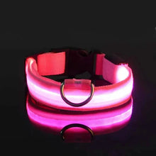 Load image into Gallery viewer, LED Dog Collars Light Adjustable Flashing Luminous Collar Night Anti-Lost