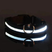 Load image into Gallery viewer, LED Dog Collars Light Adjustable Flashing Luminous Collar Night Anti-Lost
