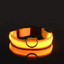 Load image into Gallery viewer, LED Dog Collars Light Adjustable Flashing Luminous Collar Night Anti-Lost