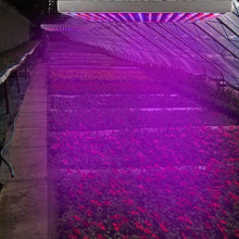 Load image into Gallery viewer, LED Grow Light Full Spectrum Hanging