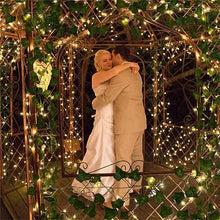 Load image into Gallery viewer, LED Solar Ivy Leaf String Light