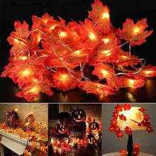 Load image into Gallery viewer, Lighted Fall Garland 40 LED String Light