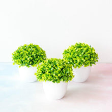 Load image into Gallery viewer, Mini Cute Artificial Bonsai Potted Plastic 15x16cm Friend's Gift Fake Decor with Plastic Pots Fake Flowers Arrangements for Home Decoration
