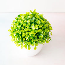 Load image into Gallery viewer, Mini Cute Artificial Bonsai Potted Plastic 15x16cm Friend's Gift Fake Decor with Plastic Pots Fake Flowers Arrangements for Home Decoration