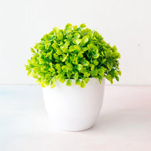 Load image into Gallery viewer, Mini Cute Artificial Bonsai Potted Plastic 15x16cm Friend's Gift Fake Decor with Plastic Pots Fake Flowers Arrangements for Home Decoration