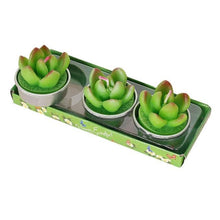 Load image into Gallery viewer, Mini Delicate Succulent Plants Candles Cactus Tea light Candles Handmade Delicate Succulent Cactus Candles Flameless Aromatherapy Candles For Birthday Party Wedding Spa Handmade Aromatherapy Candles For Birthday Party Wedding Home Decor Plant Candle